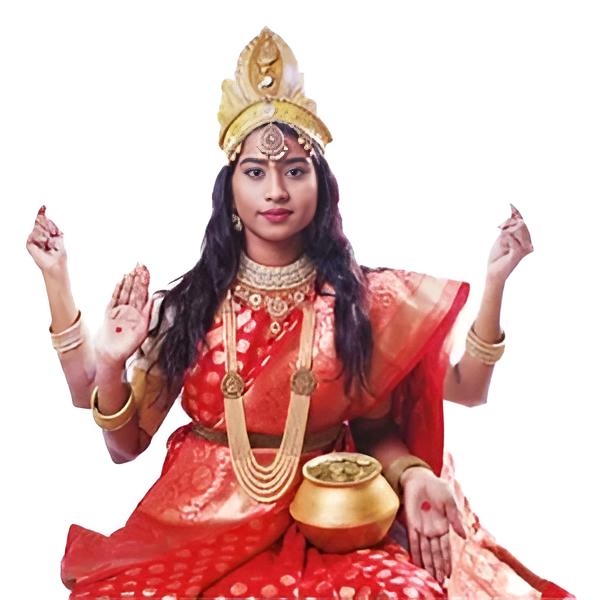 Laxmi Dress Costume